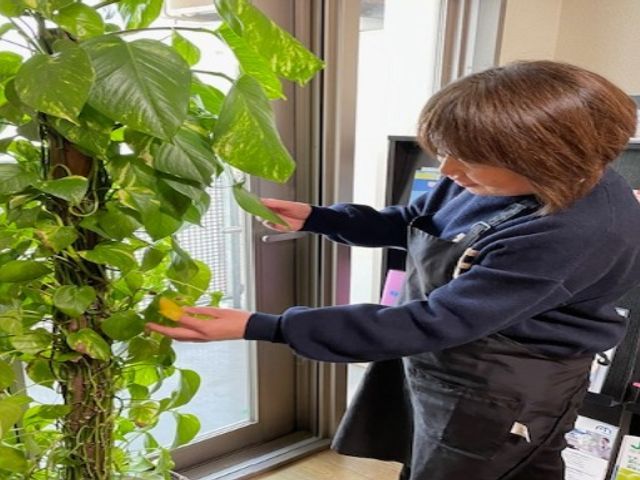 【1月出店】経験年数30年・実績100件以上のプロが植物の復活をお手伝い！