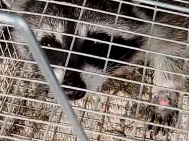 お客様のお力になります！経験と知識を活かして迅速丁寧に作業いたします