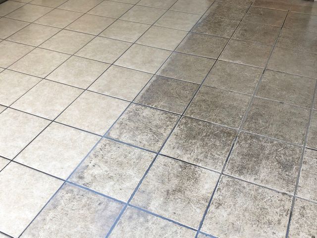 【経験27年の実績】ペット赤ちゃん◎　思わず笑顔になります