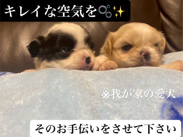 【✿︎11月大掃除大特価キャンペーン✿︎】◇複数台割引有り◇綺麗な空気で新年を◆