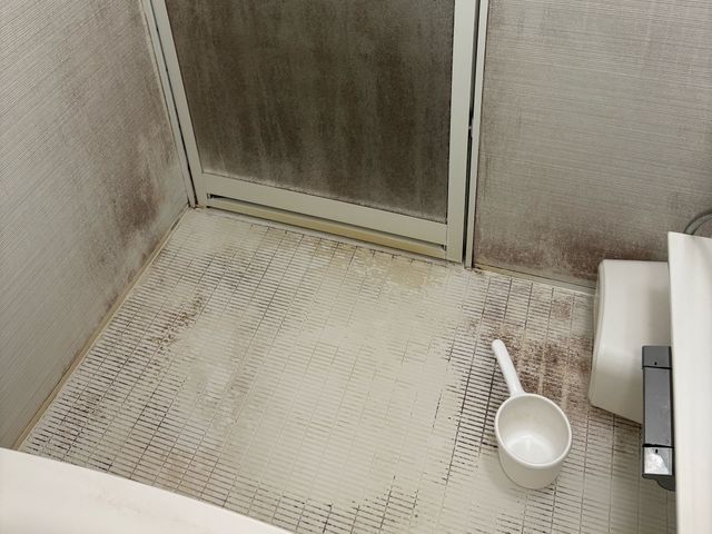 かなりお得なセットご用意しました★まずはクリックして当店のページへお越しください