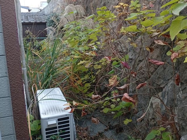 ハウスクリーニング士認定の自社スタッフが長期信頼関係を築きます