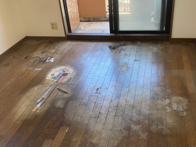 特殊清掃　ゴミ屋敷清掃サービスの画像