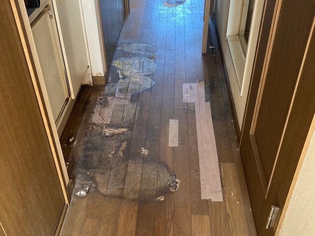 特殊清掃　ゴミ屋敷清掃サービスの画像