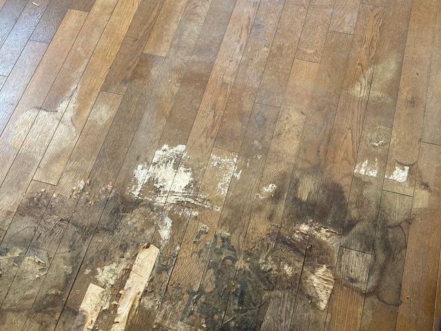 特殊清掃　ゴミ屋敷清掃サービスの画像