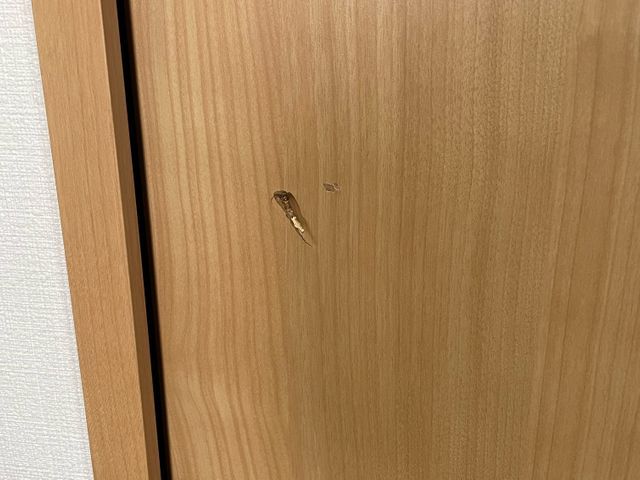 室内ドアのキズ・穴、キレイに直します！経験と知識を活かして迅速丁寧な作業！
