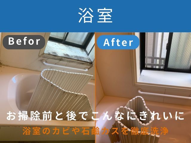 春のキャンペーン！水回り注文で防カビコーティング無料！