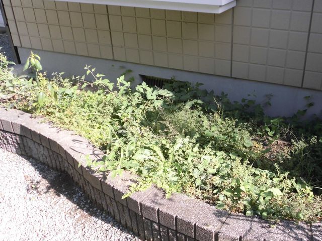 ご満足いただけるように心を込めて作業いたします！