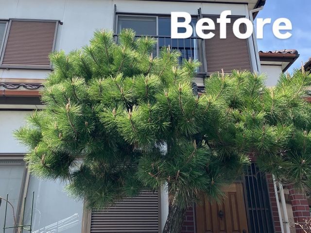 【庭を知り尽くしたプロがお伺い！】12年の実績あり◉高度な技術力に自信あり◉