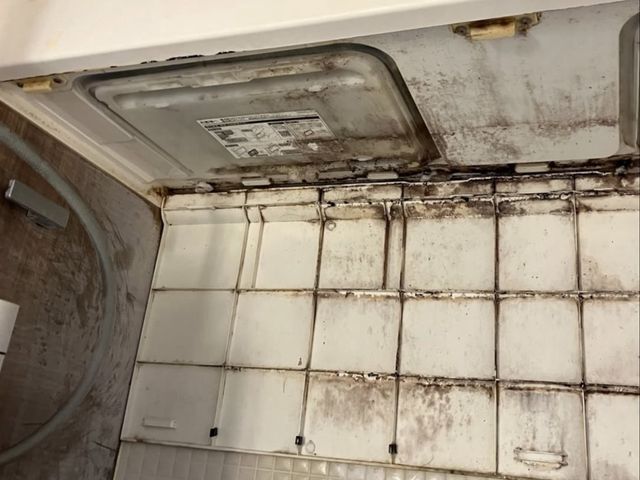 セットがお得！カビも水アカも徹底除去！