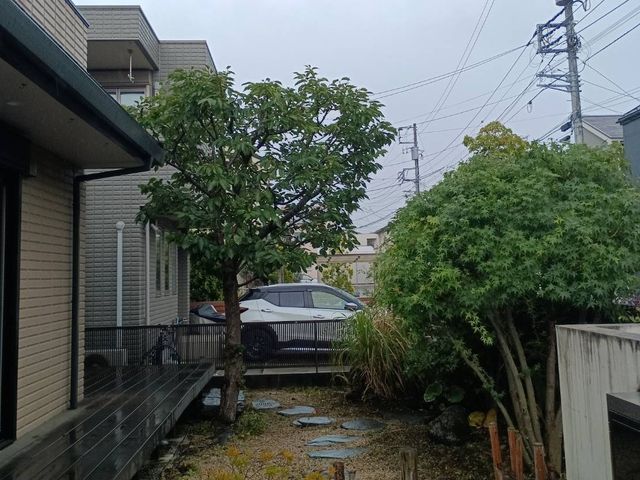 庭木のお手入れ（剪定・刈り込み・芝刈り・草刈り・除草）