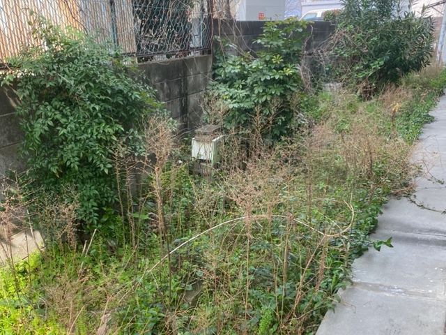 空き家 荒れ放題の草木 まとめて当店でお任せください！(^^) 防草シート施工可