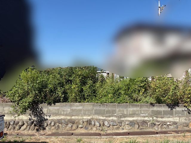 【女性スタッフ同行】ご要望を丁寧にお聞きし、理想の庭を実現するオーダーメイド剪定