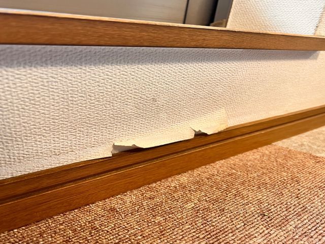 ★コスパ良し【抗菌、防臭、防カビ】♪あなたの暮らしを快適に♬.*ﾟ令和の壁紙再生サービスの画像