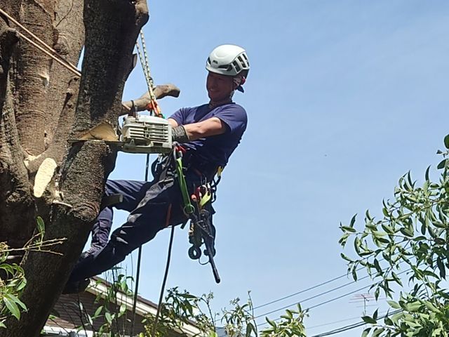 【荒川区】損害保険加入済み！御客様の後納得のいく庭作りを目指しております！
