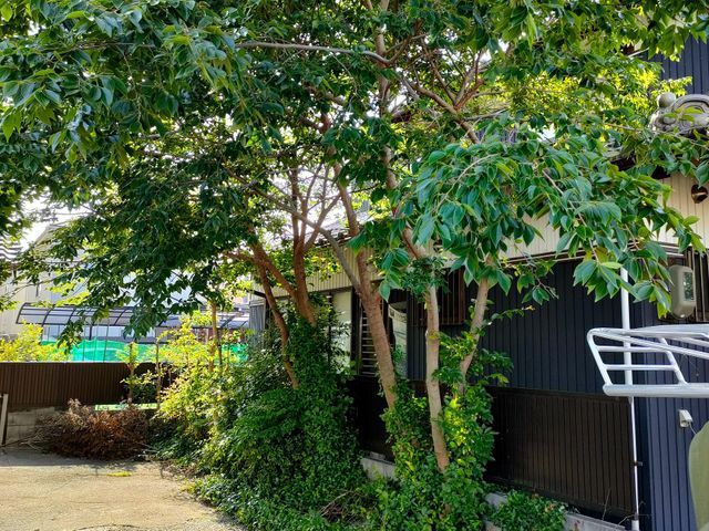 無料見積もり可！伐採＆抜根は「お庭屋 N-works」にお任せ下さい！