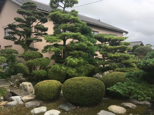 20年の実績！☆店長訪問☆早くて綺麗な仕上がり！