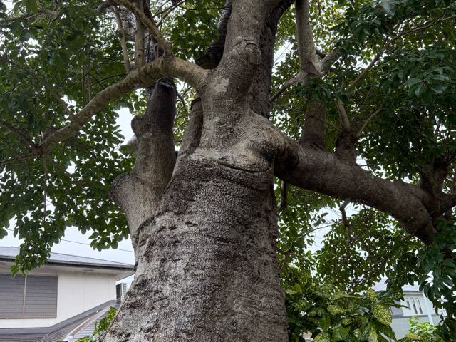 丁寧な仕上がりとアフターフォロー万全の出張サービス