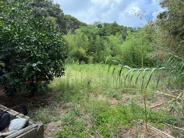 【6年の実績】お庭まるごとトータルコーディネート！営業時間外も相談OK