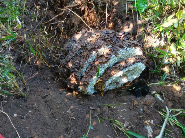 【業歴35年】年中無休◎22時まで対応可◎駐車場代当店負担◎迅速丁寧な対応