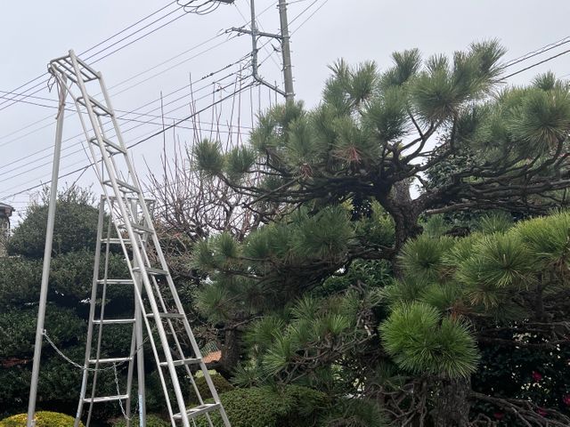 12月末までにご予約いただいたお客様は、ゴミ回収代、最大50%オフ致します。