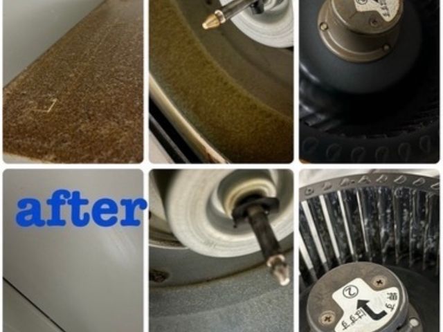 地域密着の丁寧対応！若さ溢れる大手仕込みのクリーニング