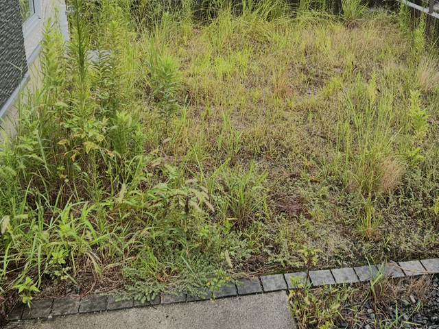 ◎予約から施工まで100%自社対応◎女性スタッフ活躍中♬◎損害保険加入店