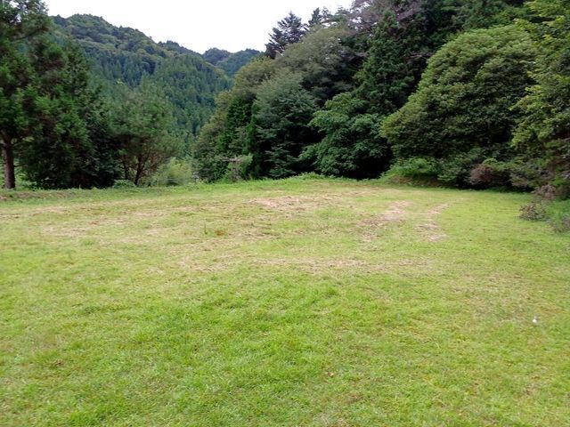 お庭の雑草、すっきりキレイにします◆現金・オンライン決済可能◆