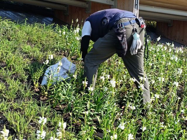 【EXPO経験者が彩る】エントランス・華やぎコーディネート