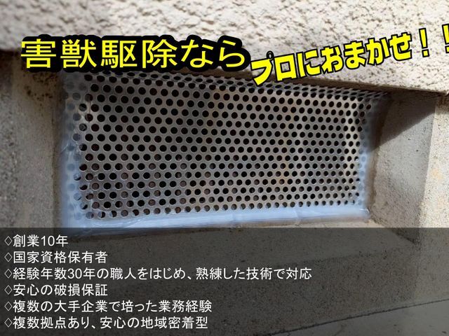 【安心の地元業者】ネズミ追い出し、再侵入予防のプロフェッショナルI【無料調査】