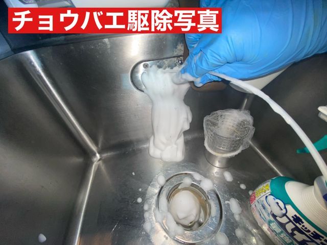 ◎年中無休◎自信の自社対応◎営業時間外も対応可◎アフターフォローも万全