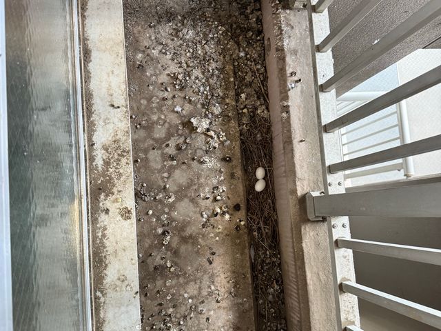 【5年1000件超の実績】即日対応◉女性スタッフ同行も可能♪損害保険加入済み◉