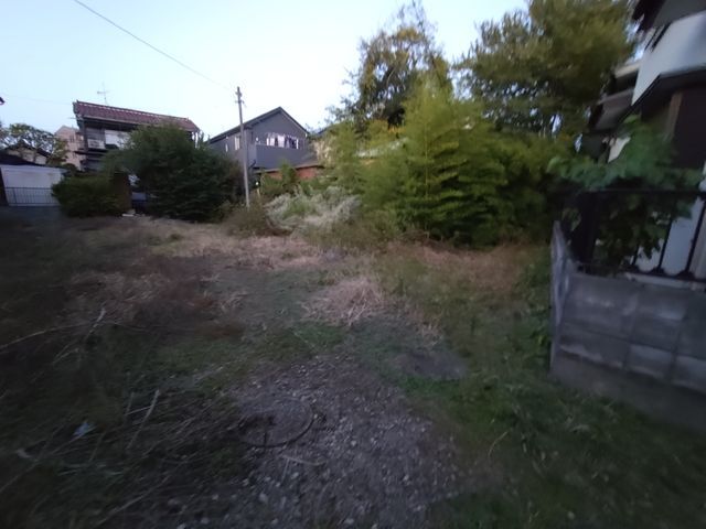伐採・伐根