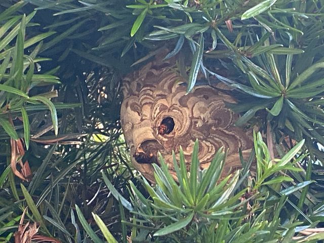 当日夕方〜対応可！年内再発保証付！7,500円！！