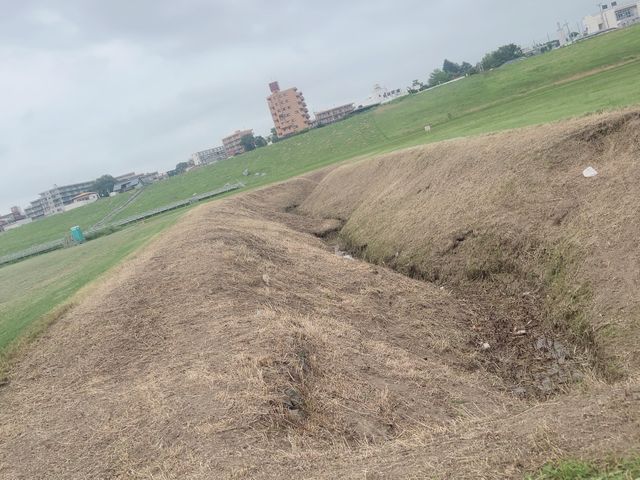 プロの技術でご満足いただけるように心を込めて作業いたします