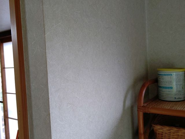 クロス壁紙クリーニング防カビ剤塗布の場合別途3,000円。