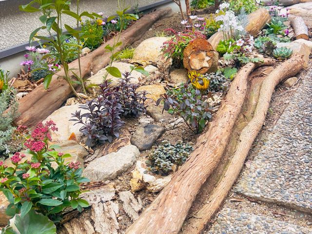 15年以上の実績！女性スタッフ同行で安心の庭木お手入れ