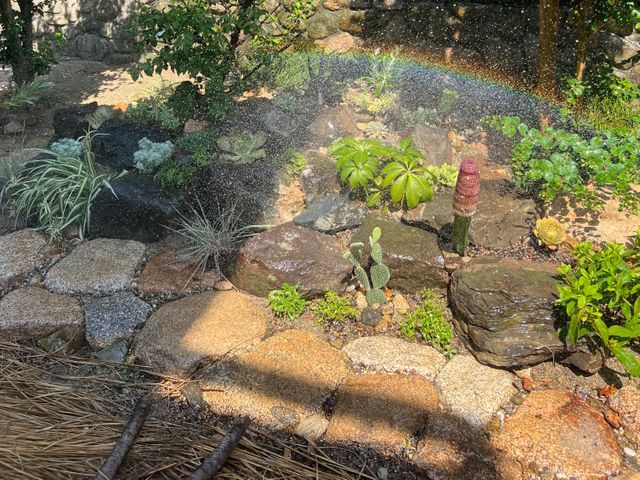 ○植え替え◯肥料◯土壌改良◯季節の植物入れ替え◯ご要望にお応えします。