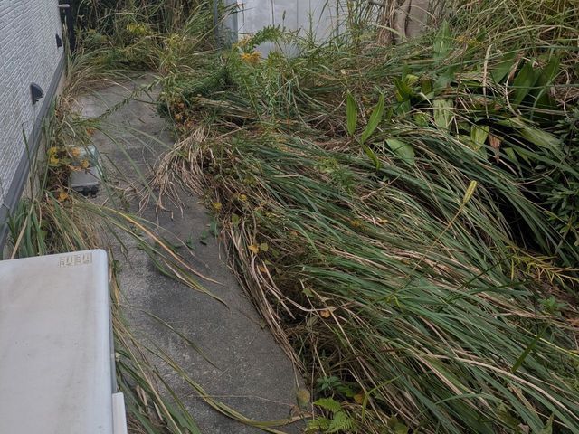 創業100年以上の信頼と実績！安全第一でお庭を美しく整えます