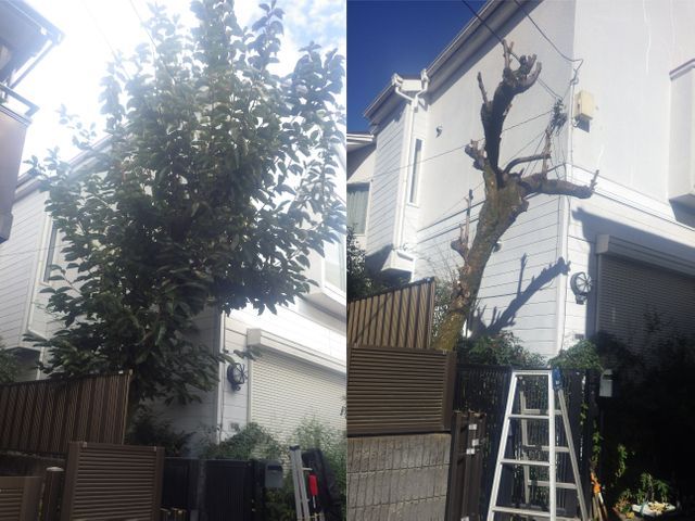 歴60年のベテラン庭師が対応。庭木の事ならなんでもご相談ください