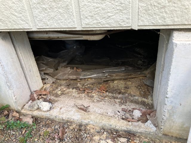 ネズミ対策工事