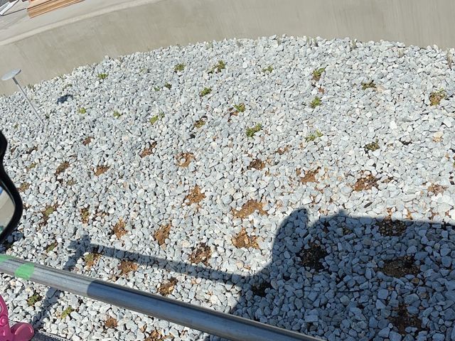 【２月出店】大手経験者による確かな技術！スピーディーで丁寧な砂利敷きサービス