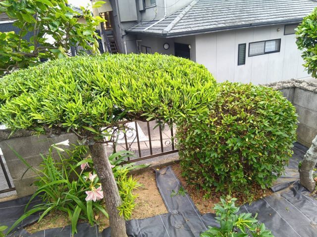 お客様のお力になります！経験と知識を活かして迅速丁寧に作業いたします