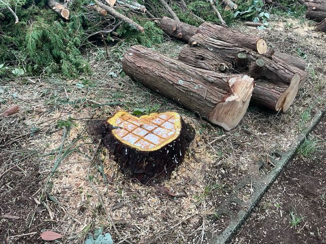 精一杯対応します！ぜひ当店にお任せください