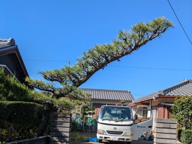 創業100年以上の信頼と実績！安全第一でお庭を美しく整えます