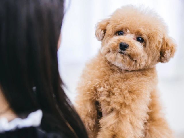 4月開店★☆お値段以上をお約束します☆★【期間限定】1時間4000円