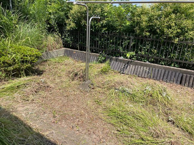 根強い雑草にお困りの方必見！若い力でお庭をきれいに！丁寧な作業がモットー！