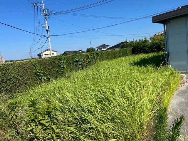 根強い雑草にお困りの方必見！若い力でお庭をきれいに！丁寧な作業がモットー！