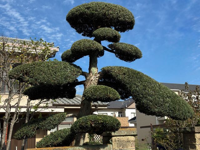 安心の有名飲食チェーン店管理店。店長本人がお伺いいたします。