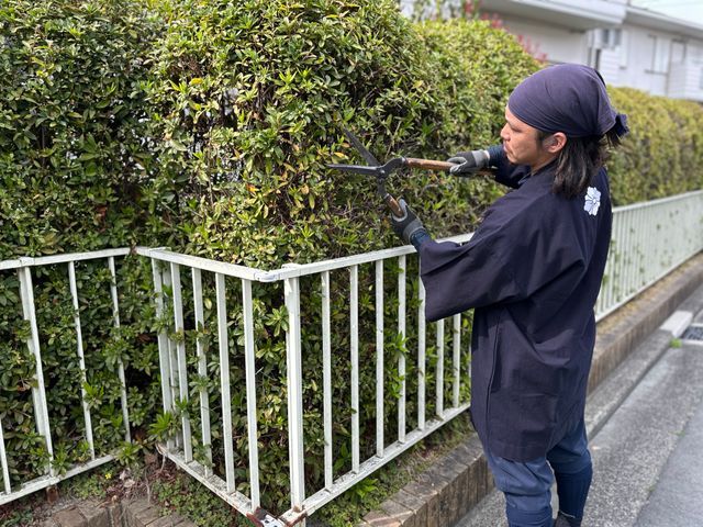 造園技能士保有の職人による植え込み・生垣の剪定◆横浜市